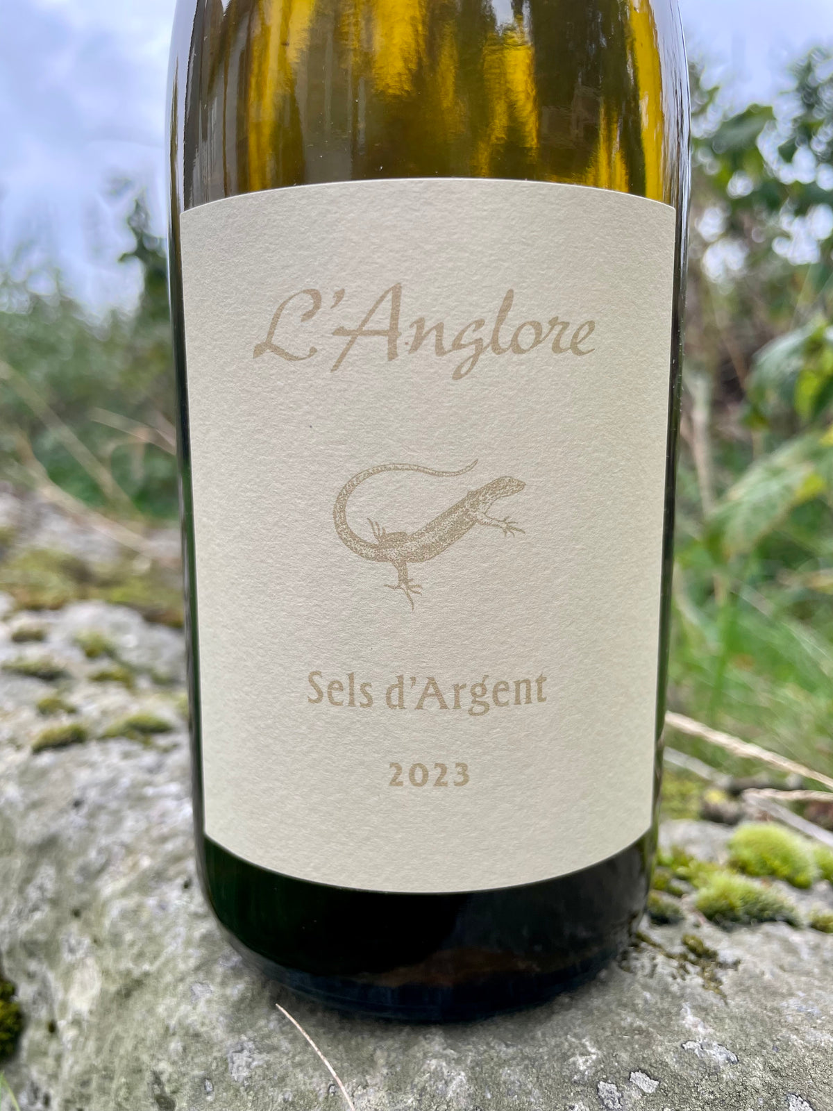 L'Anglore, Eric Pfifferling - Sels d'Argent VdF Blanc 2023