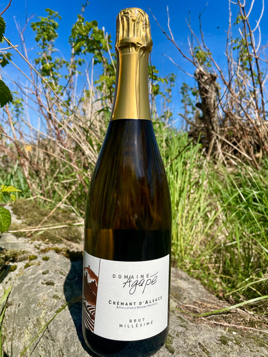 Domaine Agapé, Crémant d’Alsace, Brut Millésimé
