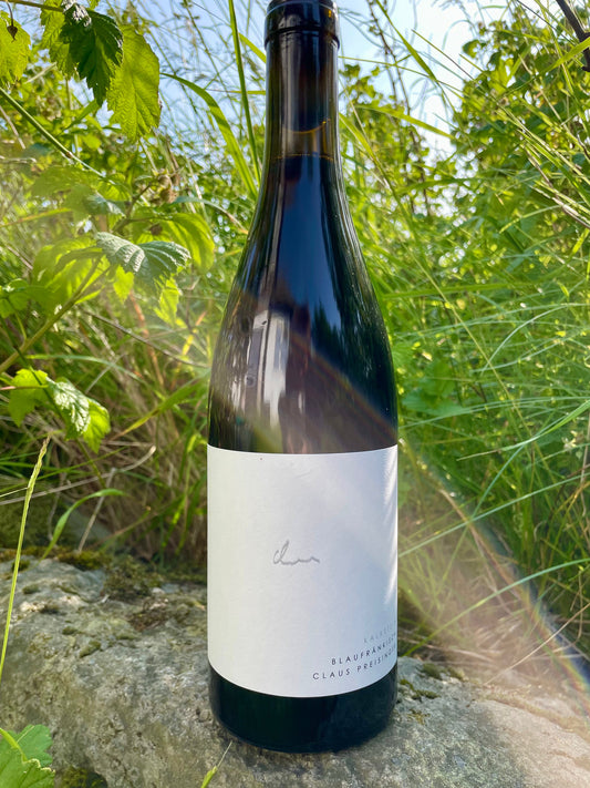 Shelf no. 137) Iuli, Umberta Barbera, 2023