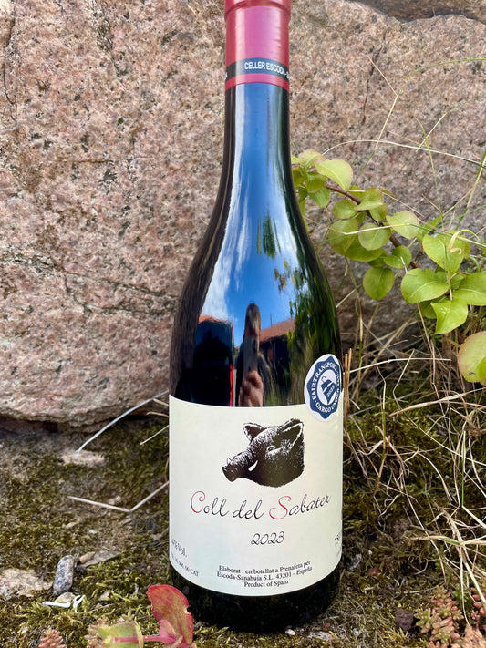 Shelf no. 129) Vermouth Moderne – 17.5% 75cl.