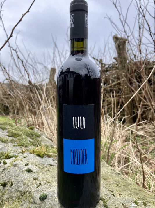 Shelf No. 135) Agricola Gaia, Monferrato Nebbiolo DOC '23