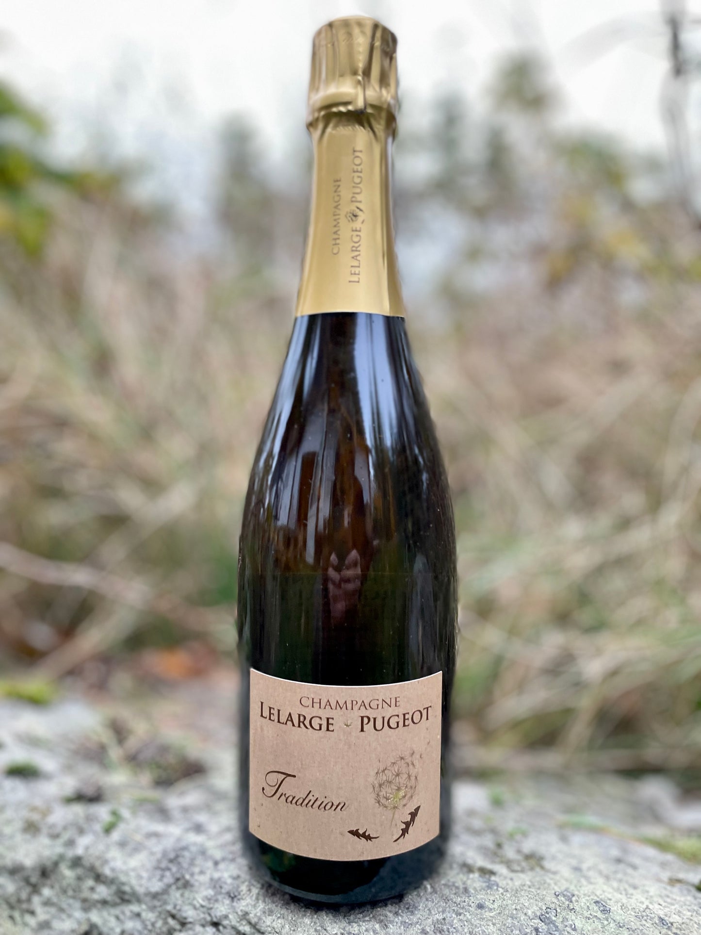 Lelarge Pugeot, Tradition extra brut 'NV MAGNUM