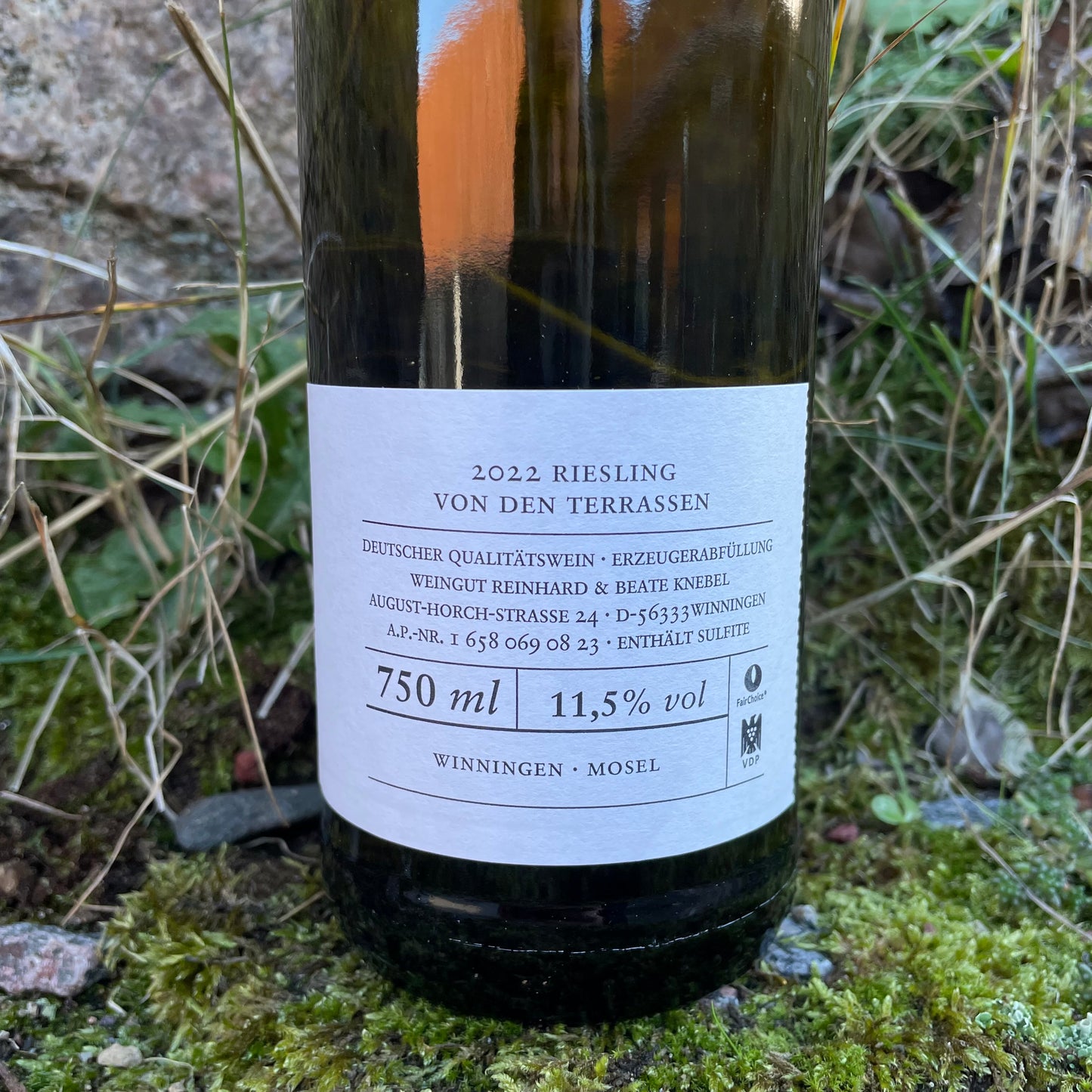 Knebel, Riesling von den Terrassen, Mosel '22