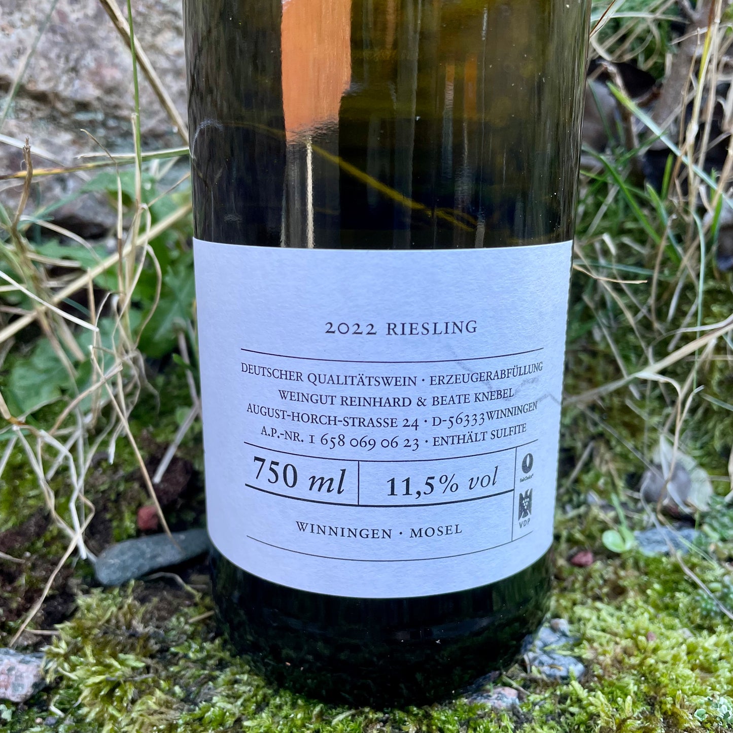 Knebel, Riesling Trocken, Mosel '22