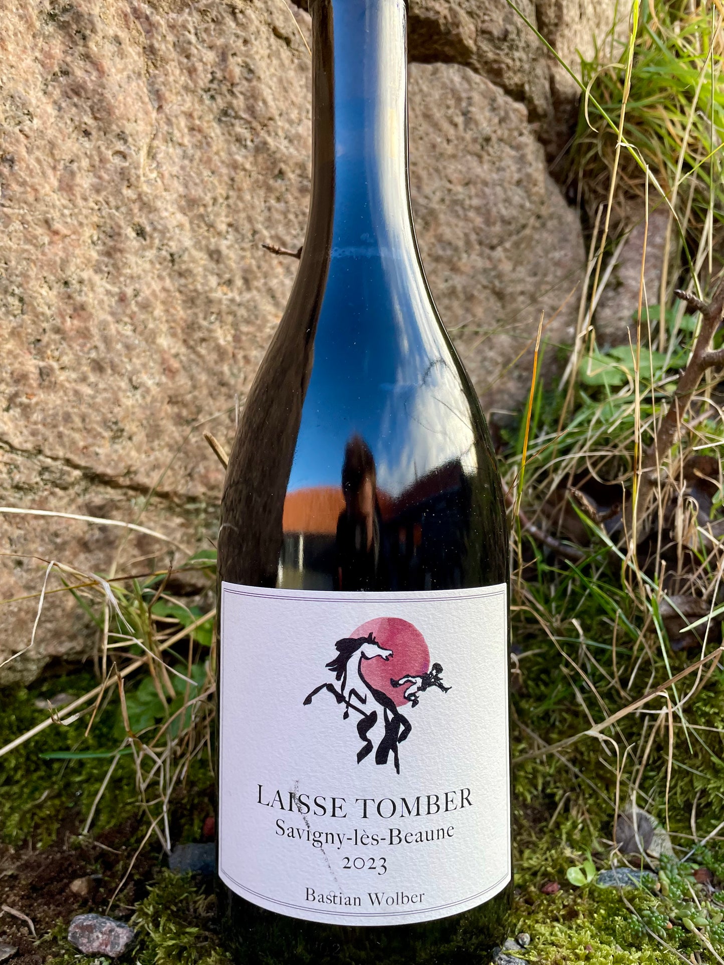 Bastian Wolber "Laisse Tomber" Savigny-lès-Beaune '23