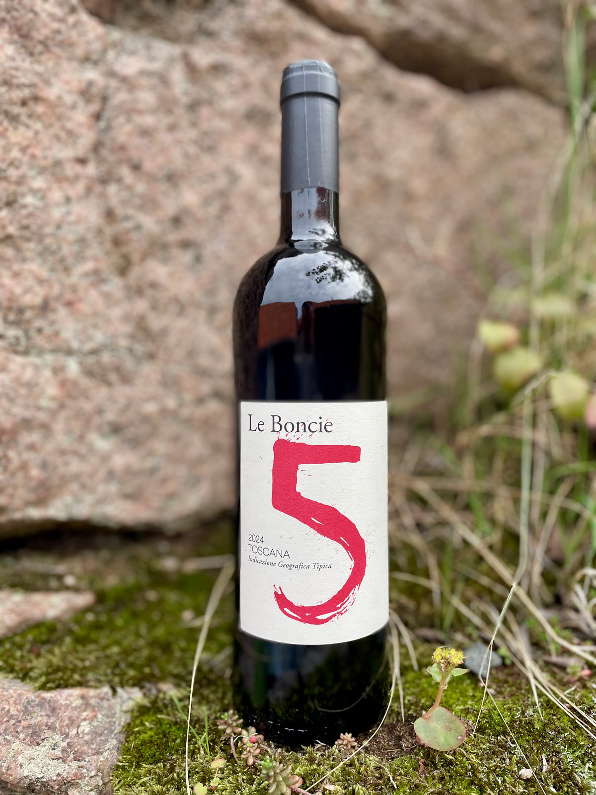 Podere Le Boncie, 5 Cinque 2024