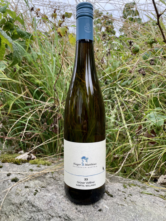 Matthias Hager, Grüner Veltliner Mollands '23